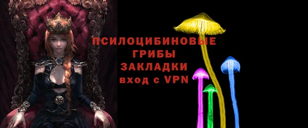 ПСИЛОЦИБИНОВЫЕ ГРИБЫ Аркадак