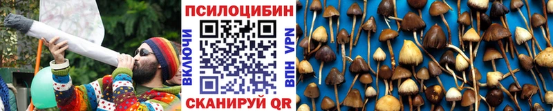 Псилоцибиновые грибы Psilocybine cubensis  Ивангород 